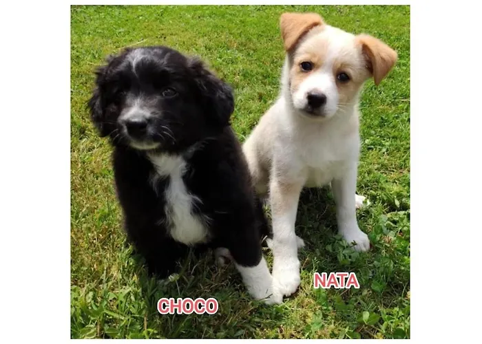 Prázdninový dům Paquita *